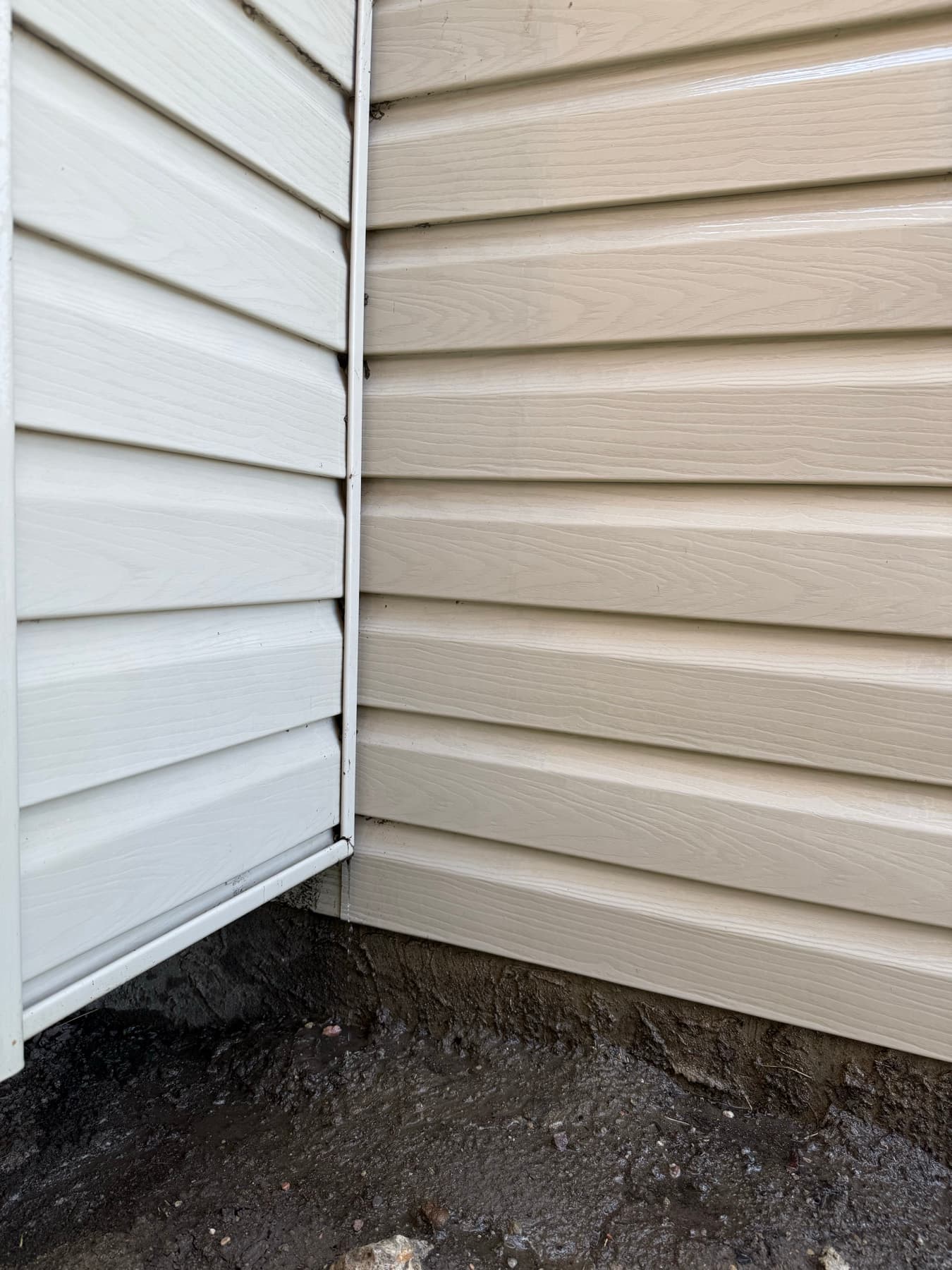 Tavial soft-wash result on vinyl siding — algae stains lifted