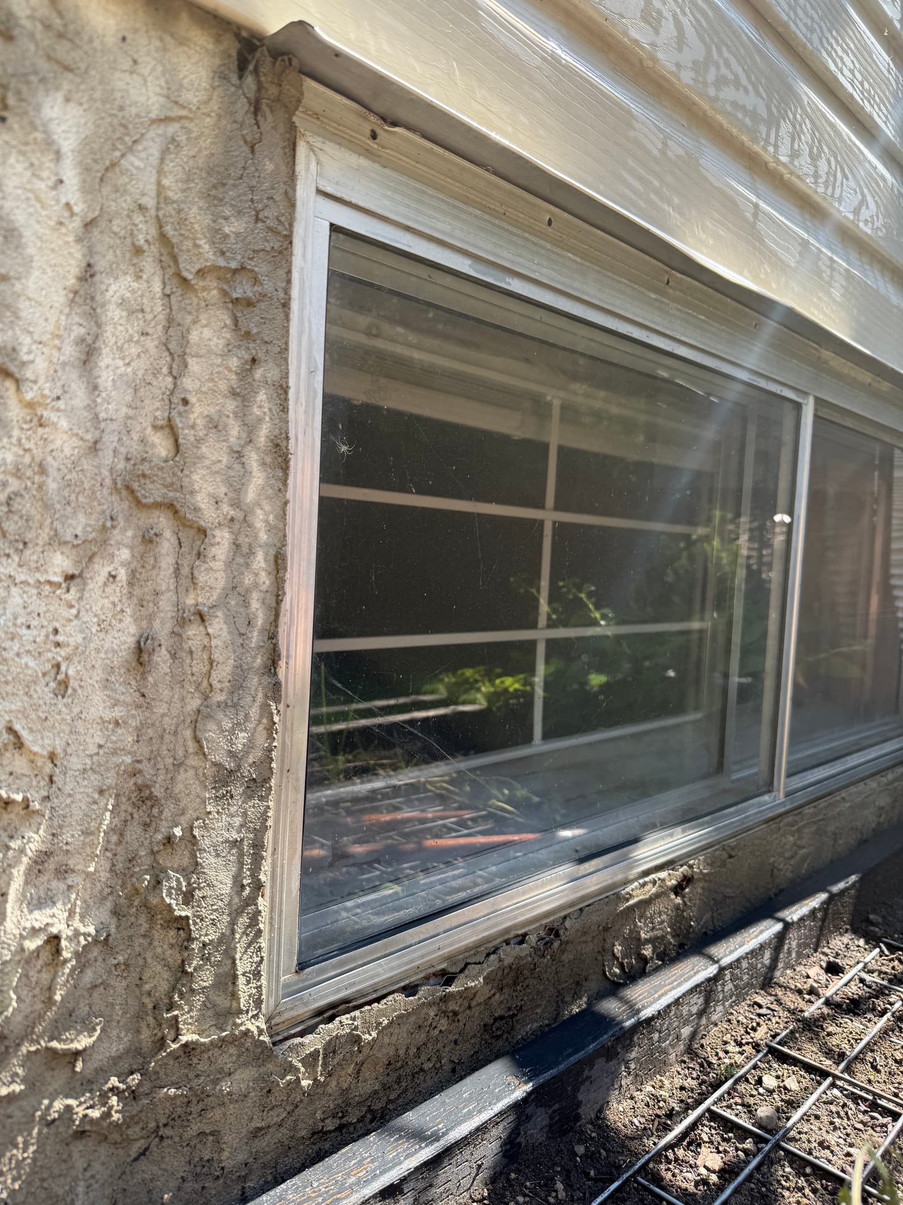 Tavial water-fed-pole window cleaning — sunflowers in clean reflection