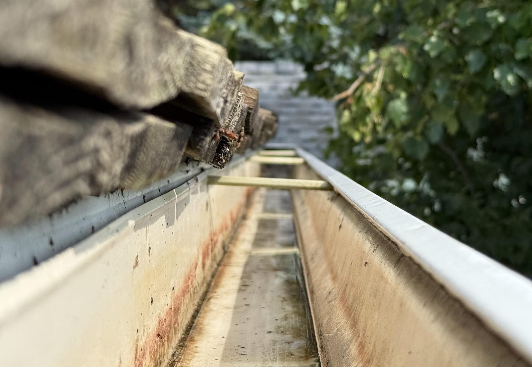 Tavial crew clearing a clogged gutter by hand in gloves